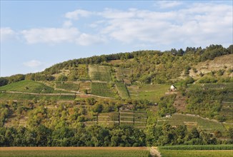 Grainberg and Kalbenstein with vineyards