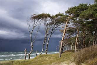Dark clouds on Weststrand Beach