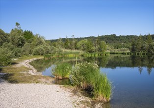 Ickinger Reservoir in the Nature Reserve Isarauen