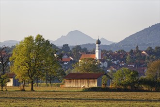 Konigsdorf