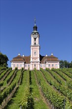 Birnau pilgrimage church with vineyard
