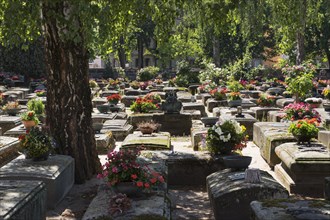 Old graves at the historic St. Rochus Cemetery