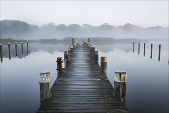 Jetty in morning fog