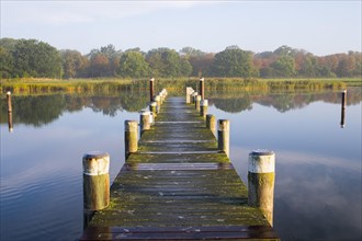 Jetty