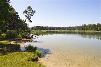 Grosser Ostersee Lake