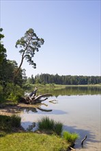 Grosser Ostersee Lake