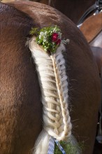 Decorated and braided horse tail