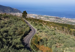 Mountain road Carretera del Teide