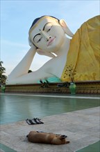 Statue of reclining Buddha