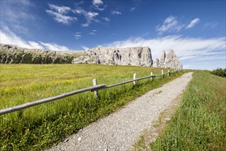 Seiser Alm in the Schlern-Rosengarten Nature Park