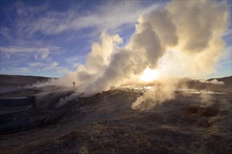 Geysers of the thermal field Sol de Manana during sunrise
