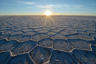 Honeycomb-structure with shadows on a salt lake at sunrise