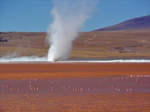 Cyclone of borax sediment on a lake with flamingos (Phoenicopterus sp.) in red water