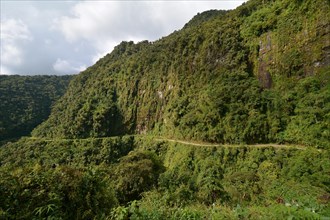 Death road winding through the subtropical rainforest