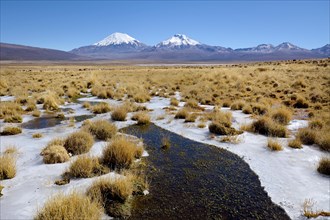 Snow-covered volcanoes Pomerape and Parinacota