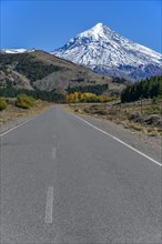 Road with snow covered volcano Lanin