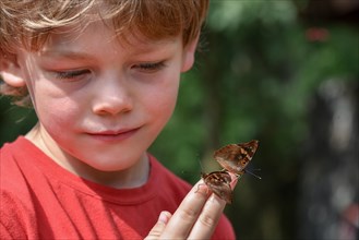 Little boy with butterflies on hand