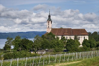 View of Lake Constance with vineyard and Birnau monastery