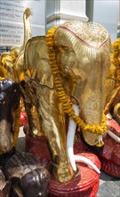 Gold-plated elephant in a temple