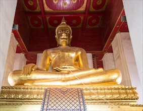 Giant gilded Buddha