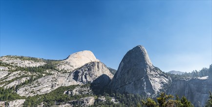 Liberty Cap