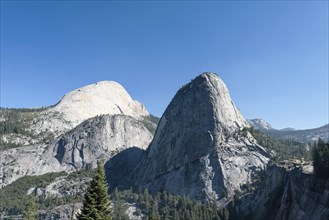 Liberty Cap