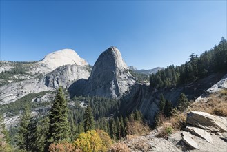 Liberty Cap