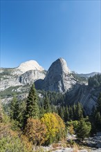 Liberty Cap