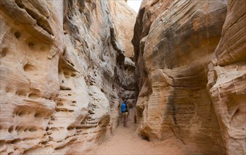 Hiker walking through a canyon