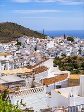 View of white houses in Frigiliana