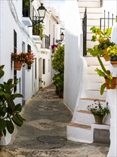 White houses in narrow alleyway