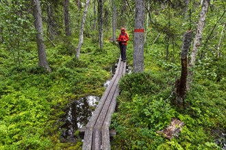 Hiker on boardwalk