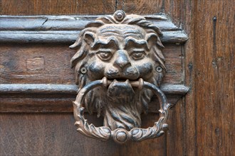 Lionhead as doorknocker of an entrance door