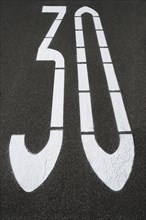 Speed-limit sign 30 kph on an asphalt road