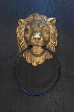 Golden lion head as door knocker