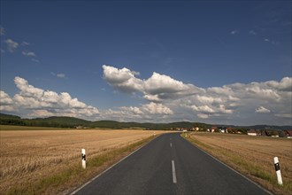 Road between mown down fields