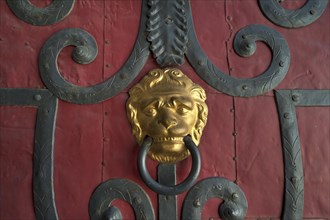 Gilded lion head door knocker