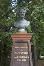 Bust in memory of Alexander von Humboldt