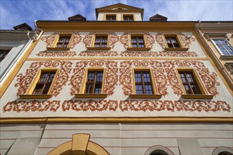 Baroque house with painted leaves