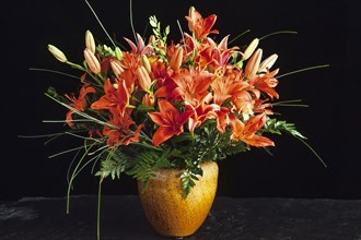 Benguet lilies (Lilium philippinense) in vase