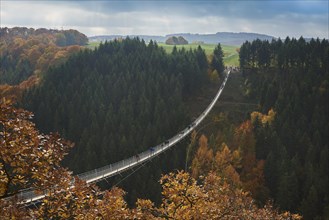 Suspension bridge over Geierlay Morsdorfer Bachtal