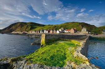 Coastline with green algae on the Crovie Pier and large stones