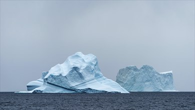 Icebergs floating in the water