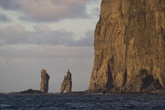 Sea stacks Risin og Kellingin in the evening light