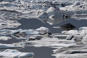 Glacial lake with ice floes