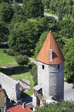 Tower of the Linnamuur town wall in the west of the Lower Town