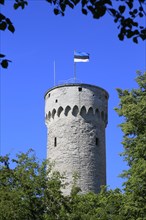 Tower Pikk Hermann Pikk Hermann on Toompea