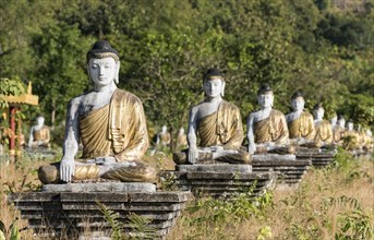 Row of Buddha statues in Lumbini Garden under Mt Zwegabin