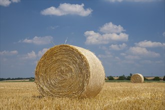 Stubble field with straw bales