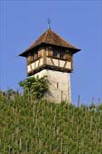 Winemakers tower in the vineyards at Lerchenberg
